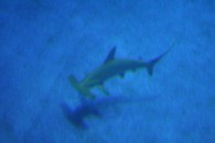 img_0438 img_0438