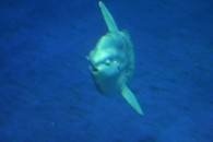 img_0439 img_0439