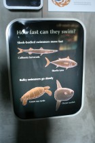 img_0440 img_0440