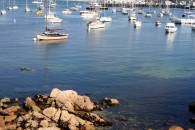 img_0446 img_0446