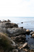 img_0460 img_0460