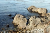 img_0462 img_0462