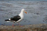 img_0465 img_0465