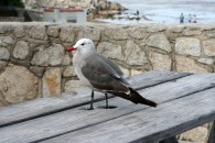 img_0468 img_0468