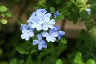 img_0479 img_0479