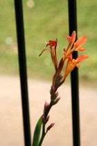img_0480 img_0480