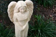 img_0481 img_0481