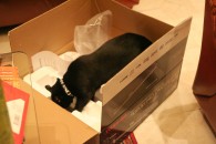 img_0503 img_0503
