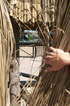 img_0977 img_0977