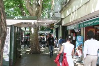 img_1018 img_1018