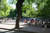 img_1031 img_1031