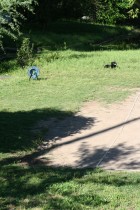 img_1032 img_1032