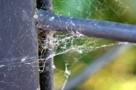 img_1038 img_1038
