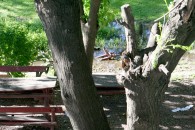img_1039 img_1039
