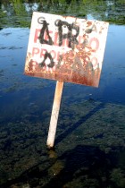 img_1043 img_1043