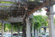 img_1045 img_1045