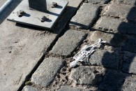 img_1051 img_1051