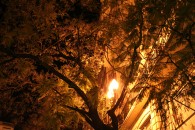 img_1092 img_1092