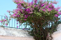 img_1267