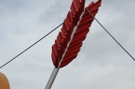 dsc_0028 dsc_0028