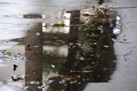 dsc_0039 dsc_0039