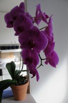 dsc_0060 dsc_0060