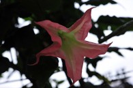 MAT_2370