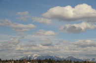 dsc_0305 dsc_0305