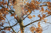 dsc_0310 dsc_0310