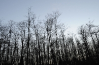 dsc_0341 dsc_0341