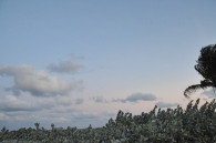 dsc_0680 dsc_0680