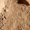 img_1505