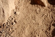 img_1505