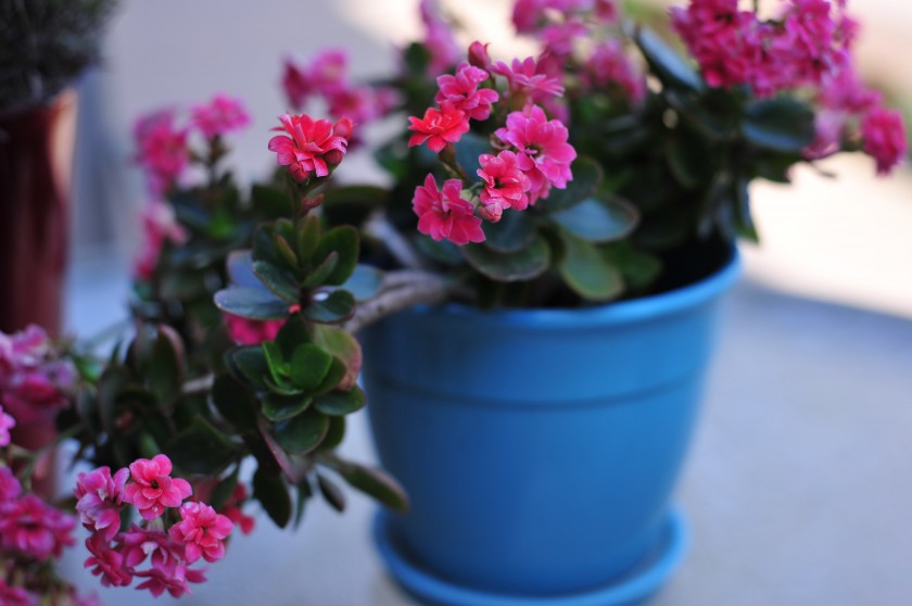 mat_2711