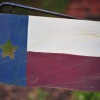 Texas Flag