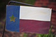 Texas Flag