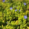 mat_2718