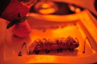 mat_3878