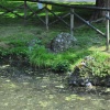mat_7193