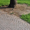 mat_7289