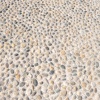 mat_7364