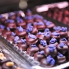 mat_7392