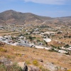 Spot the donkey