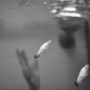 mat_3331