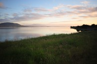 mcm_1666