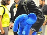 mcm_3185