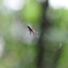 mcm_3422
