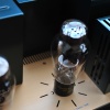 shindo we300b ltd amplifiers