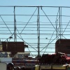 Monkeys on scaffolding