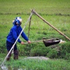 Irrigation system